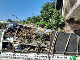 Best Shed Removal  in Alto, GA